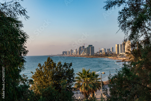 Through the trees panoramic view of the coastline of Tel Aviv, Israel