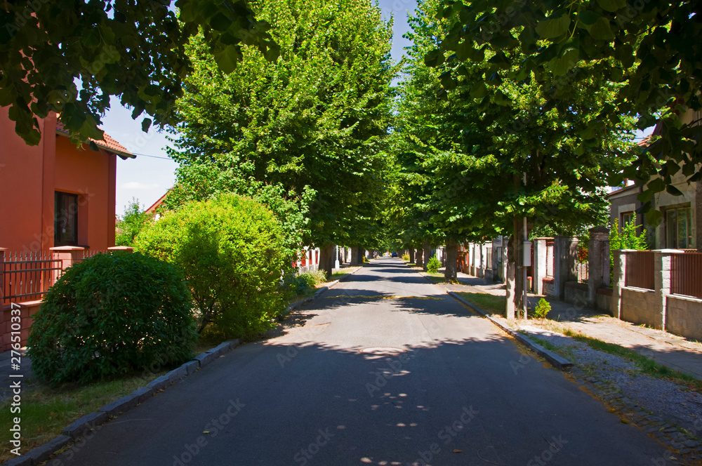 Sunny street view with trees in Kladno, Czech republic
