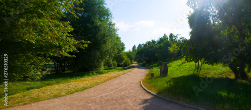 Wide track in the park, morning, spring time