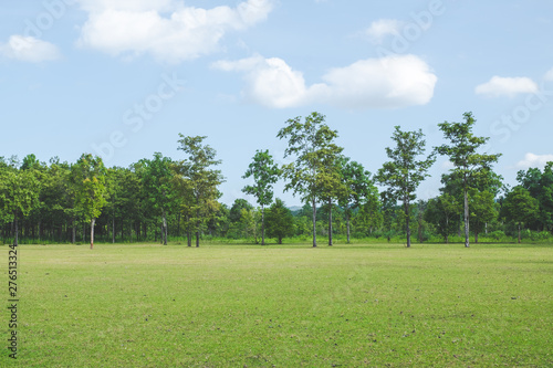 Park with green grass field , Beautiful park scene background