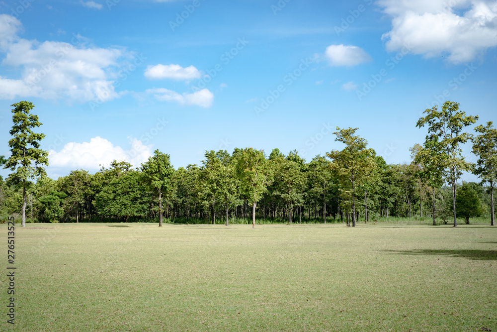 Park with green grass field , Beautiful park scene background