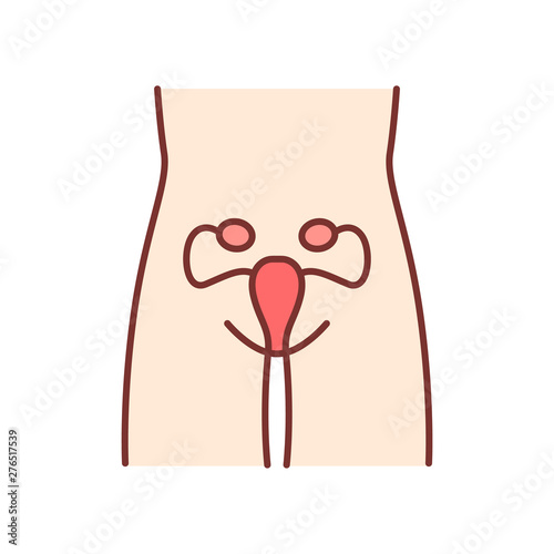 Healthy women reproductive system color icon. Human organ in good health. Fertility. Internal body part in good shape. Wholesome women health. Isolated vector illustration