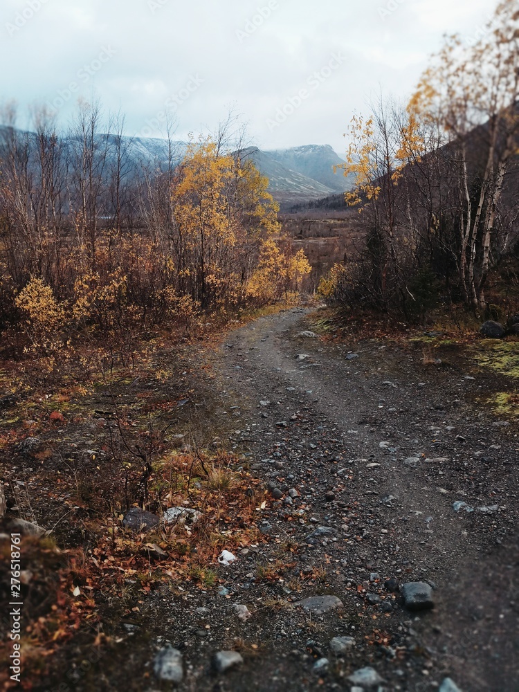 Fototapeta premium autumn in khibiny mountains. Russia. kirovsk 