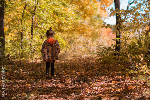 Fall nature park. Back view of girl in warm jacket walking in autumn forest. Blur golden trees background. © golubovy