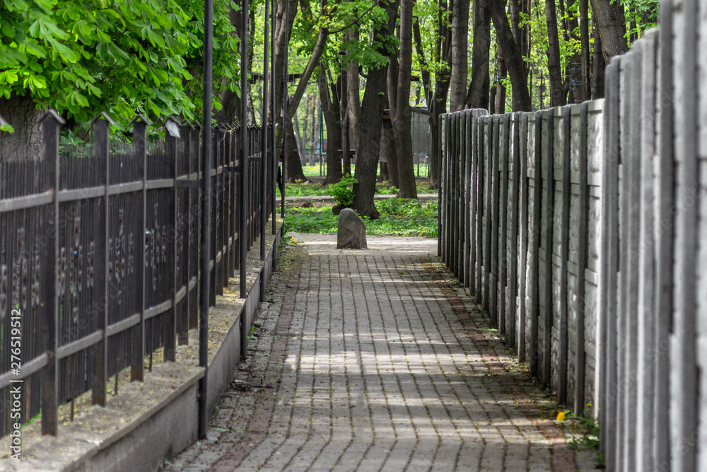 Walkway in a city park. Perspective trail. Tile on the ground. Hiking. Walk around the city. Green spaces within the city. The fence along the road.