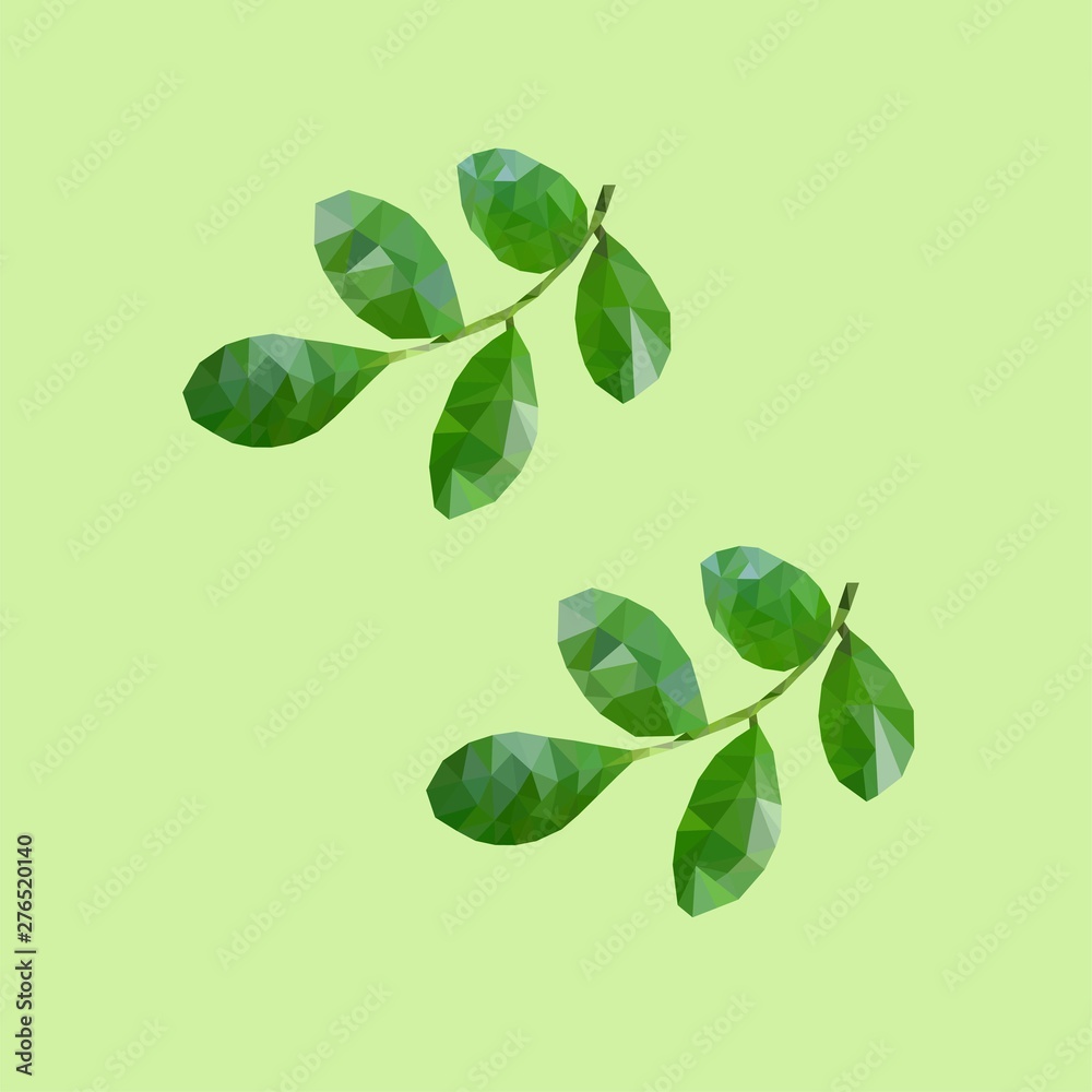 Obraz premium branch with green leaves isolated on white background