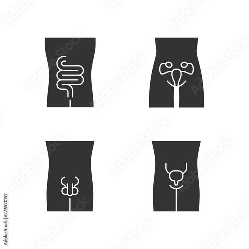 Healthy human organs glyph icons set. Intestines and urinary bladder in good health. Functioning men and women reproductive systems. Fertility. Silhouette symbols. Vector isolated illustration