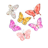 Big butterfly collection isolated on white background. Hand drawn watercolor illustration.