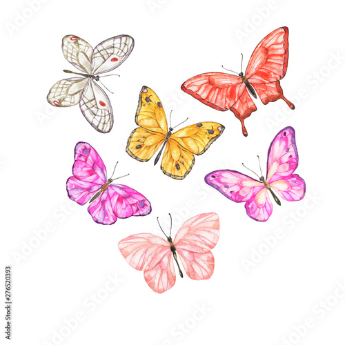 Big butterfly collection isolated on white background. Hand drawn watercolor illustration. © angry_red_cat