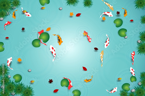 Top view of clean water lake with koi fishes. Vector design of pond with crap fishes, lotus, leaves and plant. 