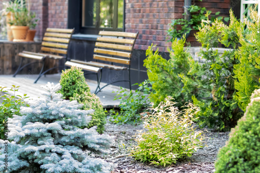 Cafe in the city park. The entrance is decorated with flowering plants. There are benches for rest near the wall. Cafe in the city park. The entrance is decorated with flowering plants. There are benches for rest near the wall.