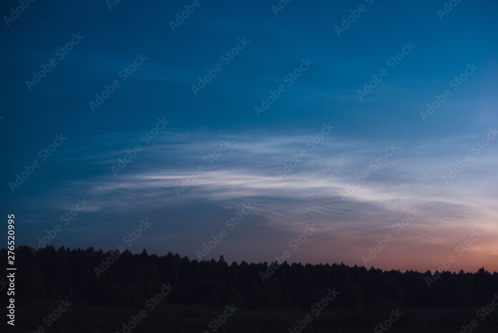 .Noctilucent clouds on a summer night above the forest .Noctilucent clouds on a summer night above the forest