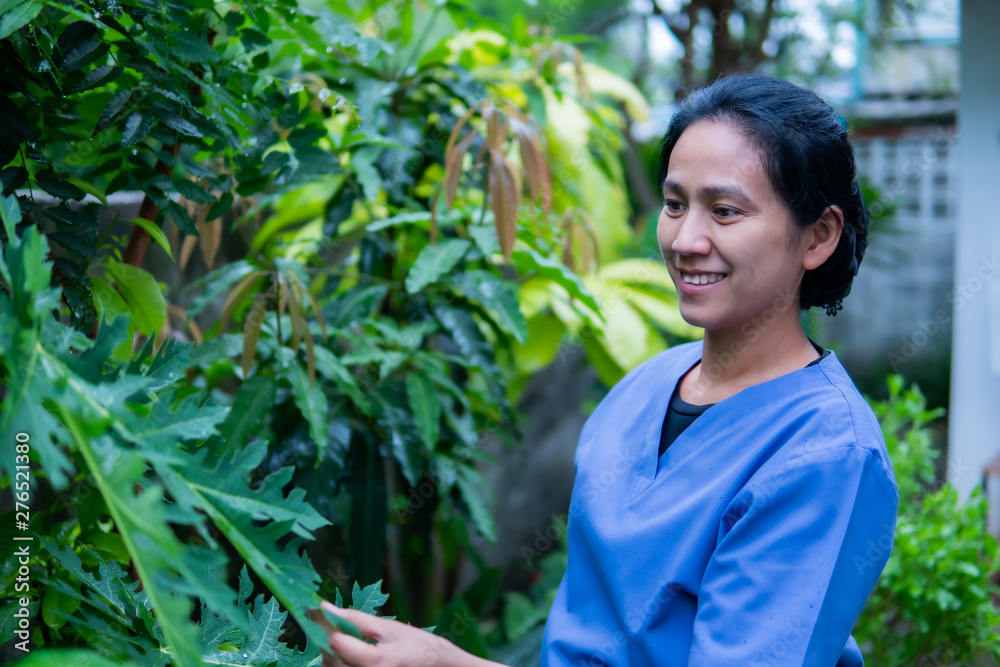 Scientist checking tree in the experimental garden