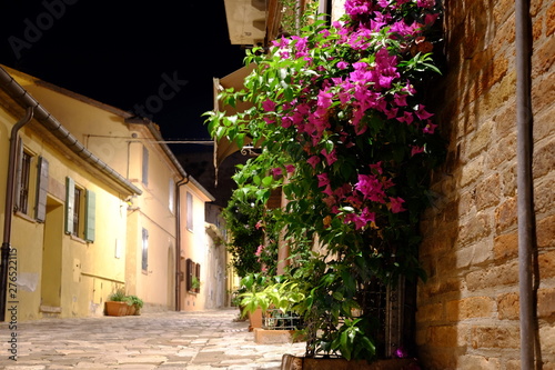house with flowers in a medieval town in Italy  Santarcangelo di Romagna 