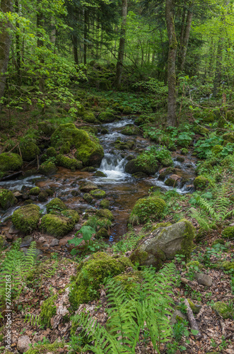Neuviller-la-Roche 01
