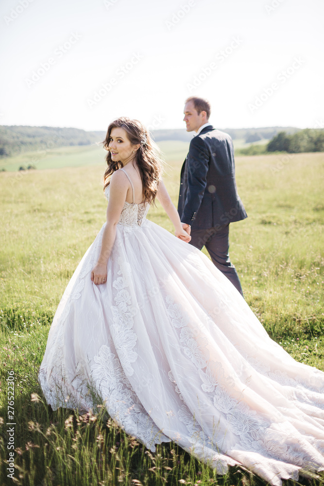Happy brides are walking around the field in the summer Happy brides are walking around the field in the summer