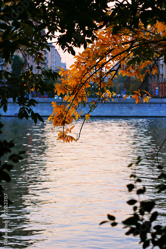 autumn in the park