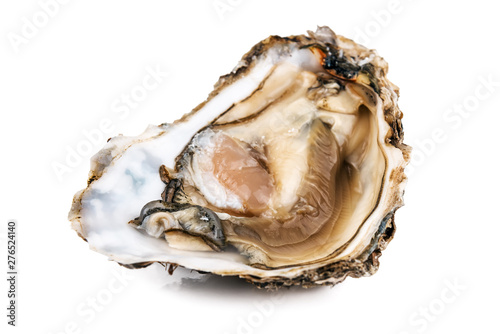 raw opened oyster on white
