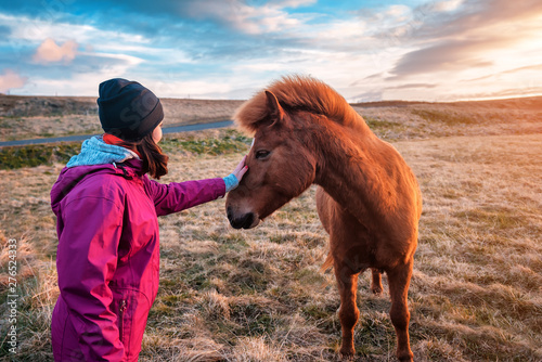 The girl strokes the Icelandic horse