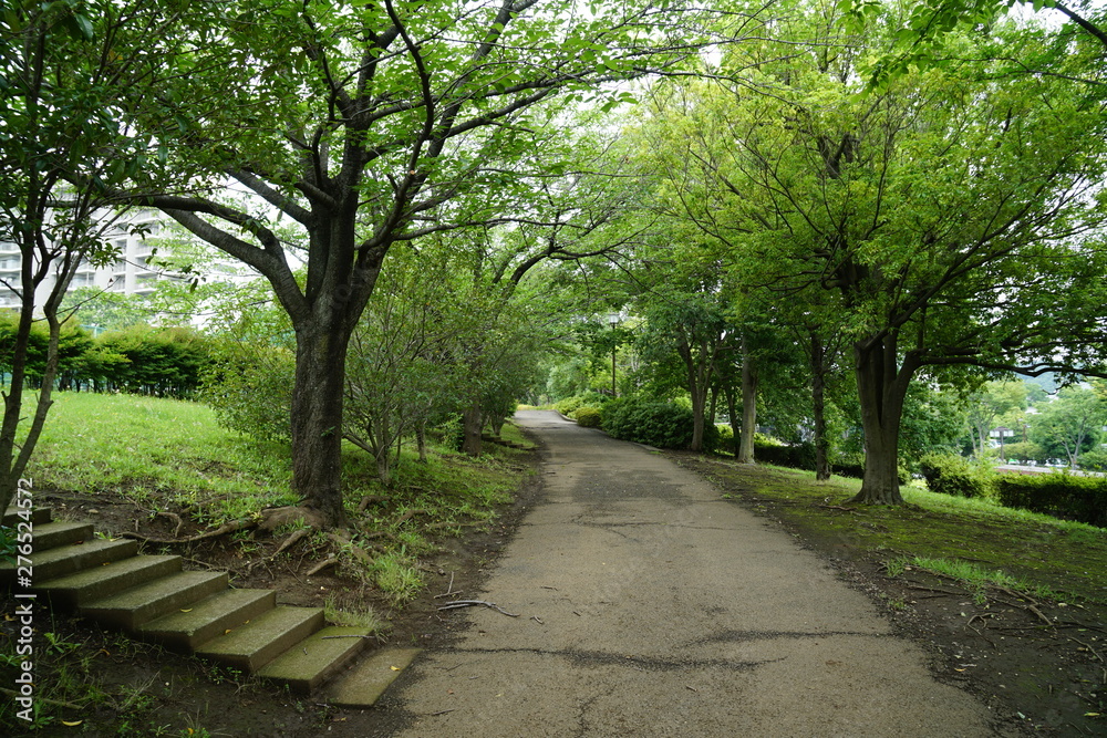 公園 公園