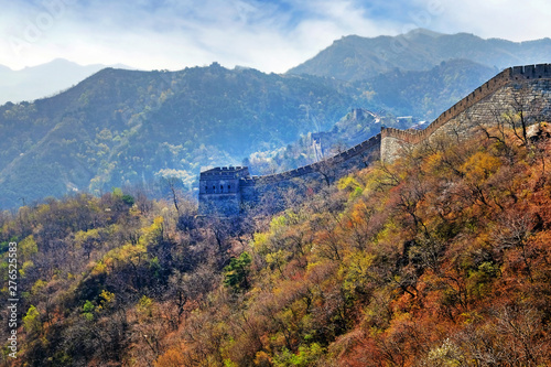 Panoramic view of the Mutianyu section of the Great Wall of China, surrounded by green and yellow vegetation under a cold morning light. © AlexTrp