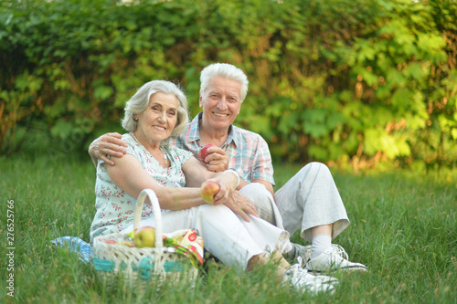Portrait of loving elderly couple having a picnic