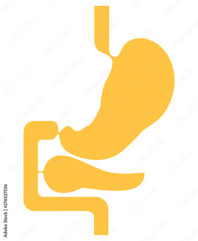 Fototapeta premium Human internal organs: Stomach and Pancreas. Flat design.