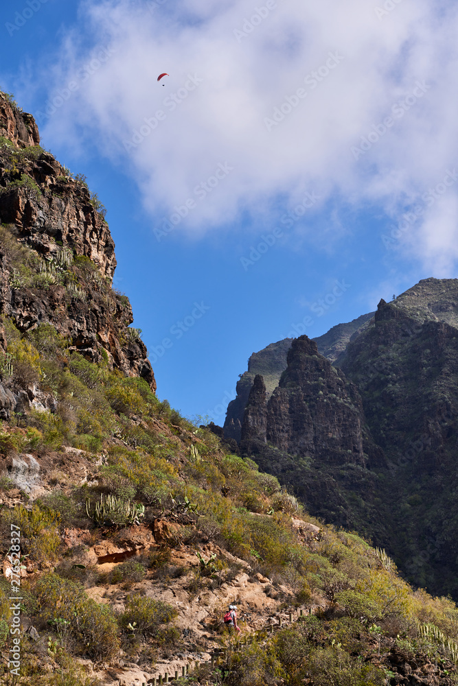 Barranco del Infierno(Hell's Gorge), Tenerife, Canary Islands Barranco del Infierno(Hell's Gorge), Tenerife, Canary Islands