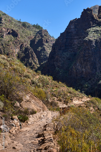 Barranco del Infierno(Hell's Gorge), Tenerife, Canary Islands