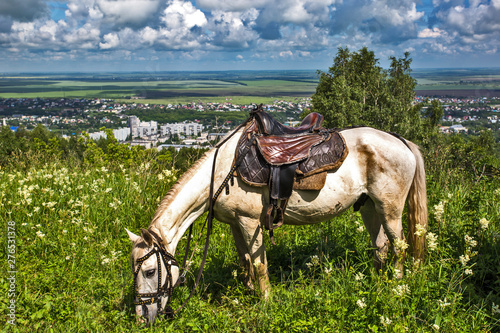 horse and rider © Sotnikov_EM