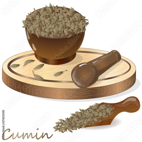 Cumin (Zira) seeds seasoning for meals and soups on a white background vector illustration