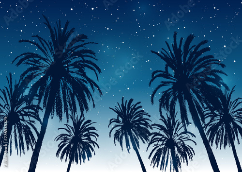 Summer background with palm trees silhouettes on night starry sky