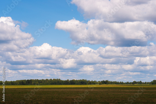 Clouds over the field on a summer day