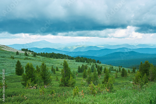Vegetation of Alpine meadows of Altai. Away mountain ranges. Cloudy sky