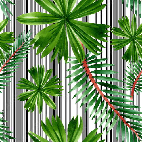 Palm beach tree leaves jungle botanical. Watercolor background illustration s...