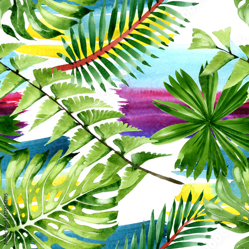 Palm beach tree leaves jungle botanical. Watercolor background illustration s...