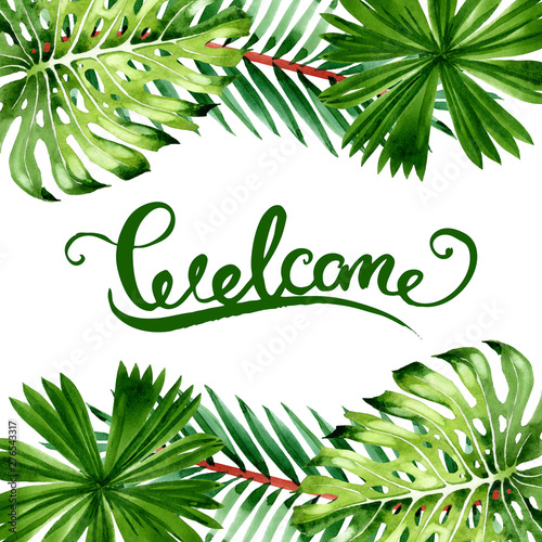 Palm beach tree leaves jungle botanical. Watercolor background illustration s...