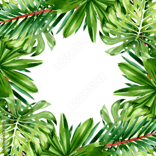 Palm beach tree leaves jungle botanical. Watercolor background illustration s...