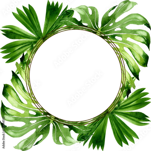 Palm beach tree leaves jungle botanical. Watercolor background illustration s...