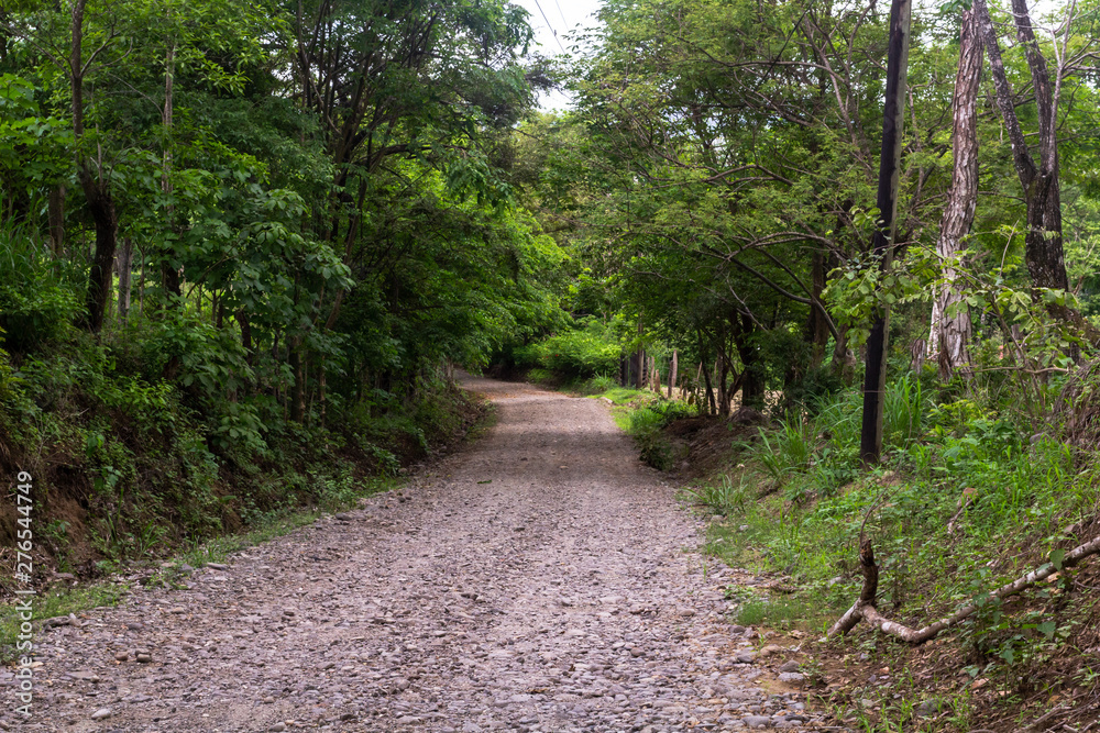 Road, Guanacaste, Costa Rica. Road, Guanacaste, Costa Rica.