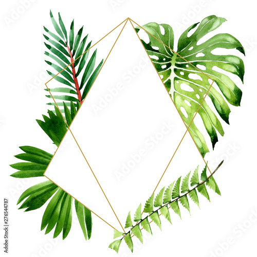 Palm beach tree leaves jungle botanical. Watercolor background illustration s...