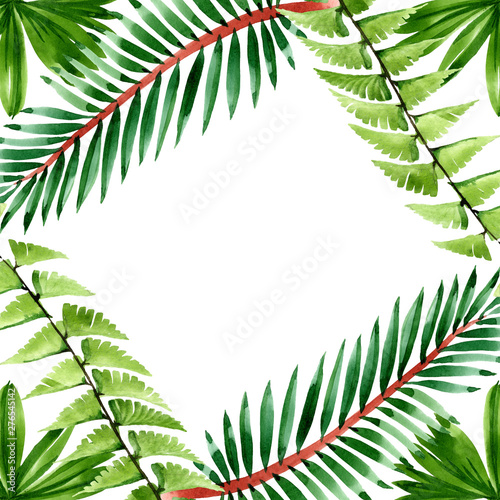 Palm beach tree leaves jungle botanical. Watercolor background illustration s...