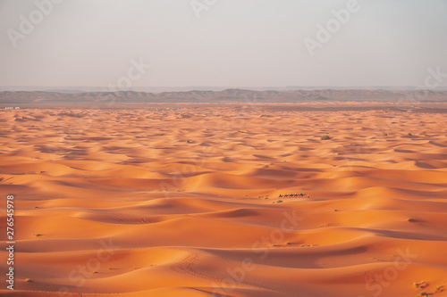 Sahara mit Kameltrupp