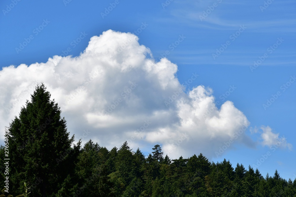A view of summer cloud against the blue sky. A view of summer cloud against the blue sky.