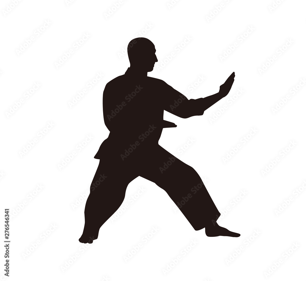Martial Arts Fighter Silhouettes