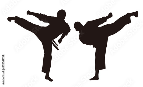 Martial Arts Fighter Silhouettes
