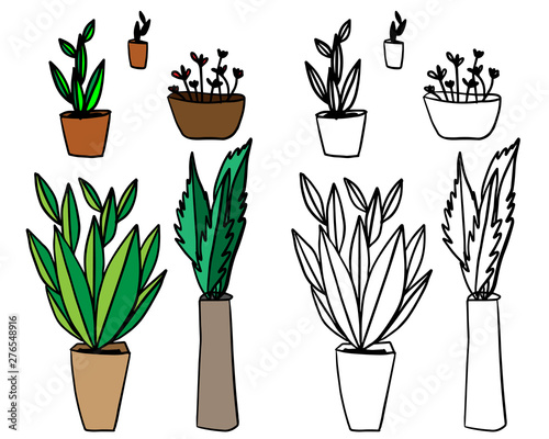 set of green plants
