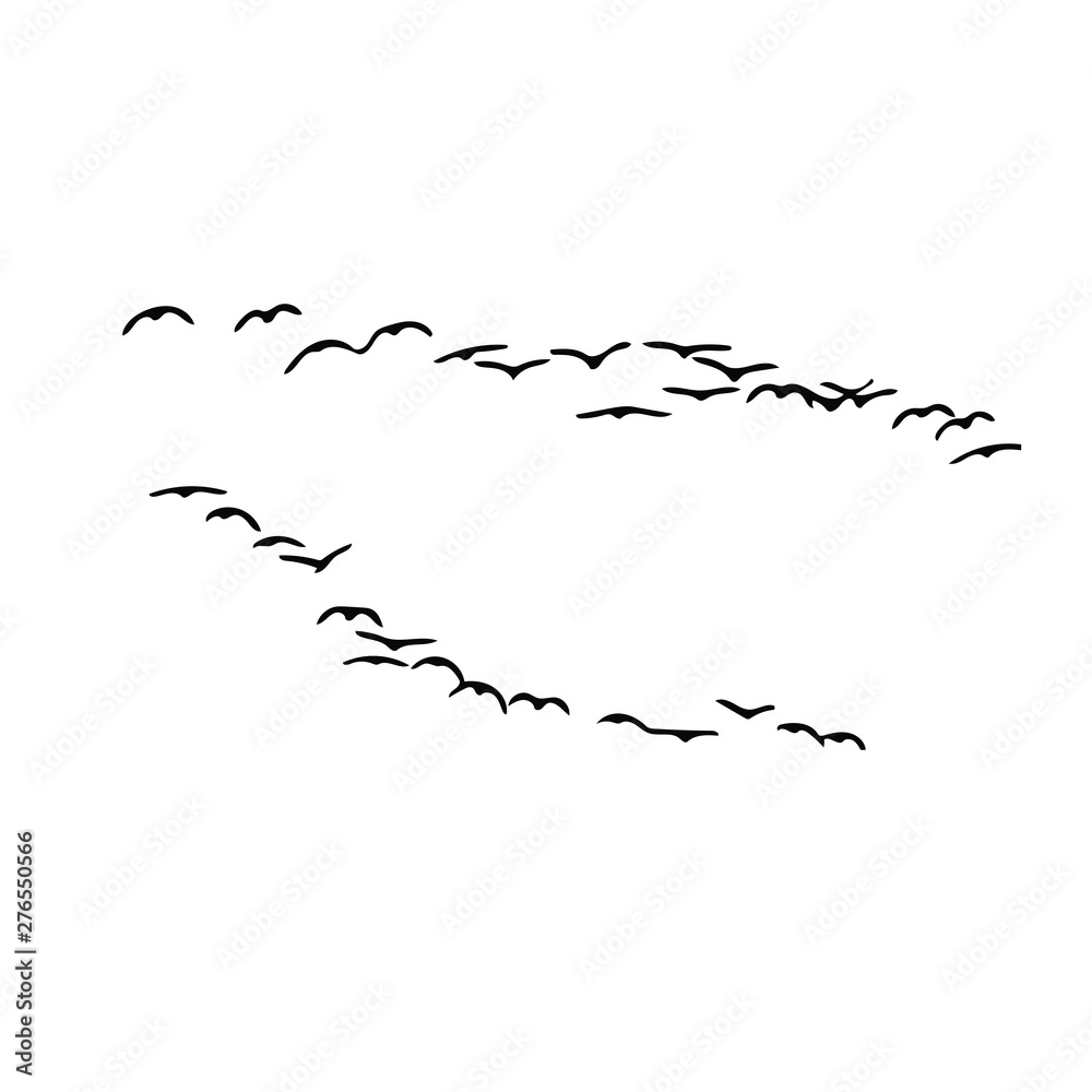 birds vector silhouette birds vector silhouette