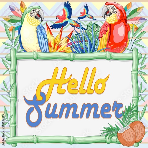Macaw and Parrots "Hello Summer" Bamboo Frame on Ethnic Background Vector illustration
