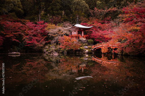 京都府 醍醐寺 紅葉